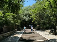 -灵岩山风景区