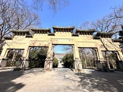 -灵谷景区