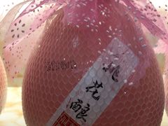 -武汉两江游览·夜游长江(汉口粤汉码头)