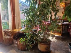 -慢丽江·云南野生菌土鸡锅(付家庄店)