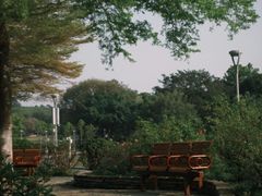 -东莞植物园