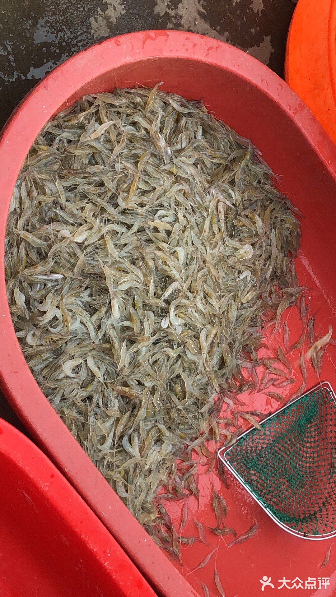 下午三点多，码头上的人很多