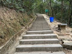 -银瓶嘴森林公园