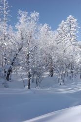 -大秃顶子山
