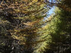 -草原天路(张北县)