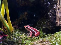 -暹罗海洋世界