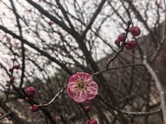 -北京鹫峰国家森林公园