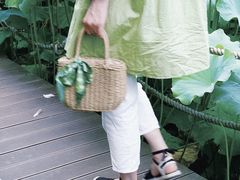 -陈家山荷花公园