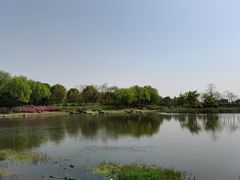 -贡湖湾湿地公园