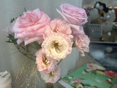 -Tomacado花厨(One ITC店)