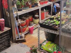 -宝鸡东道花鸟鱼虫市场(吉利花园商场店)