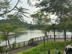-王借岗森林公园