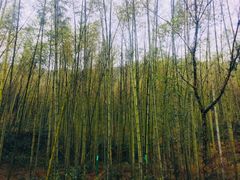 -法云古村