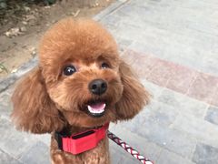 -沐沐家宠物(成寿寺店)