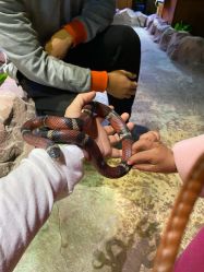 -酷嗒动物文化乐园(cutezoo西溪乐天城店)