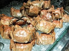 -龙城咖啡厅(常州富都洲际店)