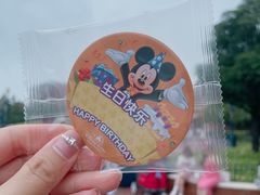 -上海迪士尼度假区