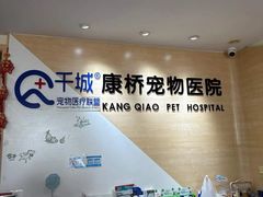-千城康桥宠物医院CT影像·骨科·心脏专科中心(厚街分院)