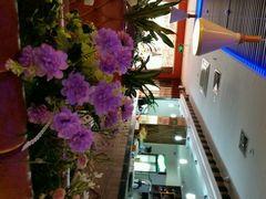 -相聚时光(光华店)