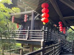 -大唐贡茶院