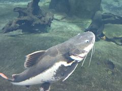 -华夏文旅西安度假区