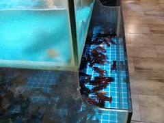 水产区-特色酱椒鱼私房菜(黄鹤楼店)