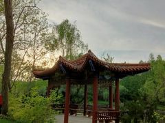 -渡海小渔村.老辈日照菜
