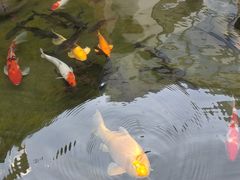 -云南荟·湖畔领宴(领事馆店)
