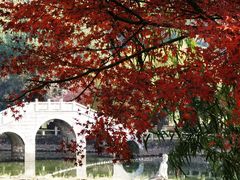 -九龙潭景区