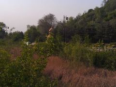 android_upload_pic-蒙山大佛景区