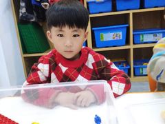 -艾克瑞特机器人教育(金狮校区)