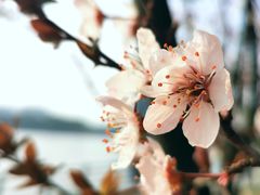 -美兰湖景区