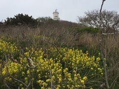 -海驴岛(荣成市)