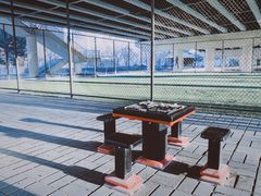 -长白岛森林公园