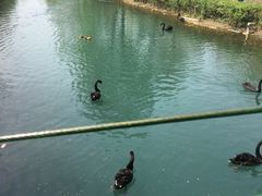 -长白岛森林公园