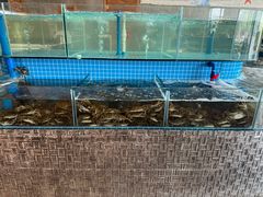-蓝珊甄选海鲜自助·火锅大排档(近阿那亚店)