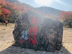 -龙道沟景区