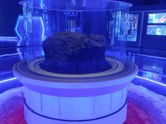 -吉林市博物馆