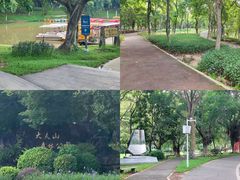 -番禺大夫山森林公园