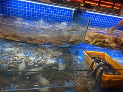 -星伦多自助料理·涮烤一体(虹悦城店)