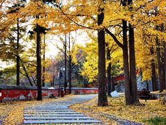 -阳台山自然风景区