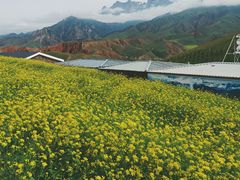 -扁都口生态休闲旅游区