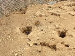 -杭州野生动物世界
