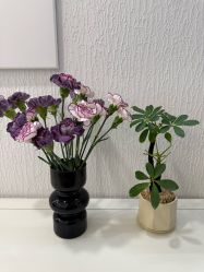 -小梨·OndaPro·专业脱毛连锁机构