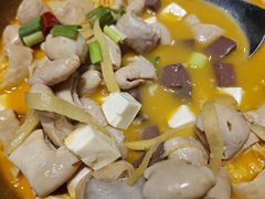 -金狮麟·新豫菜(金码大厦店)