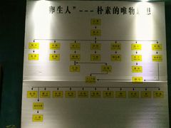 -西江苗族博物馆