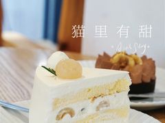 -猫里有甜