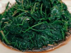 酒香金花菜-吴越荣记苏州菜·松鼠桂鱼100%活鱼现做(斜塘老街店)