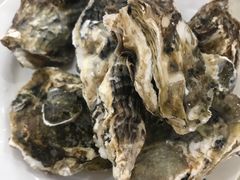 -春华海鲜城(广场西苑店)