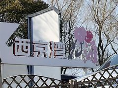 -西京湾花海